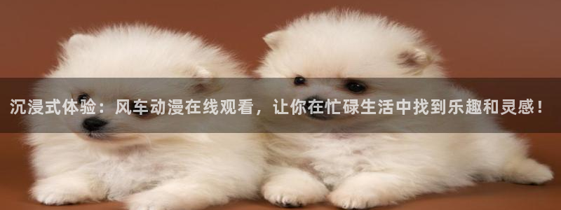 里番动漫片：沉浸式体验：风车动漫在线观看，让你在忙碌生活中找到乐趣和灵感！