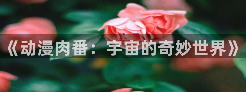 免费看里番动漫：《动漫肉番：宇宙的奇妙世界》