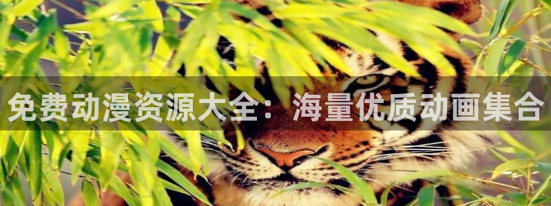 辣妹里番动漫：免费动漫资源大全：海量优质动画集合