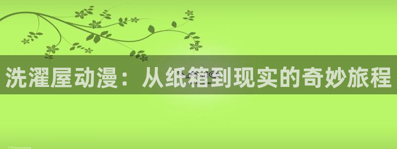 3d里番动漫在线播放：洗濯屋动漫：从纸箱到现实的奇妙旅程