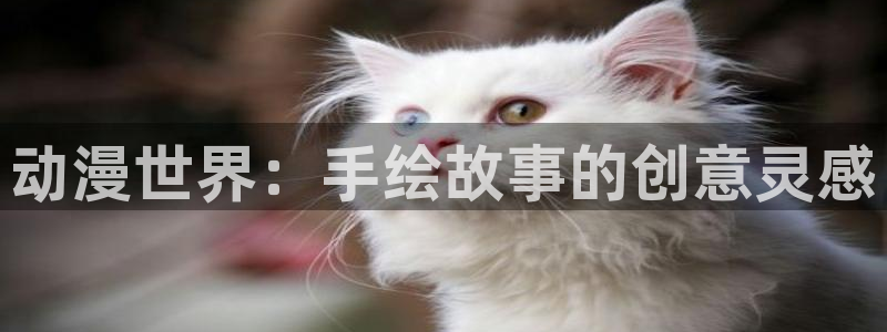 日本里番动漫推荐：动漫世界：手绘故事的创意灵感